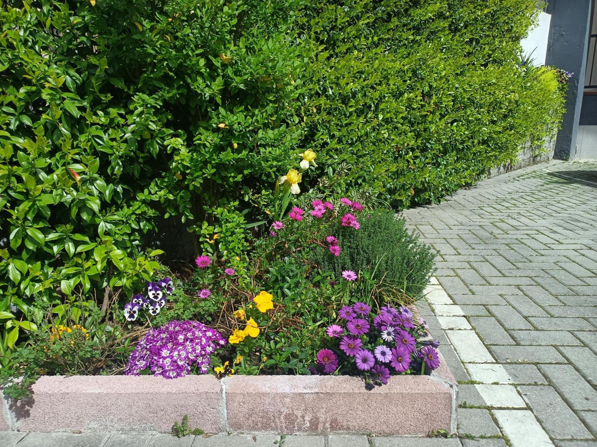 Appartamenti Borghetto San Donato 105 — Foto 2