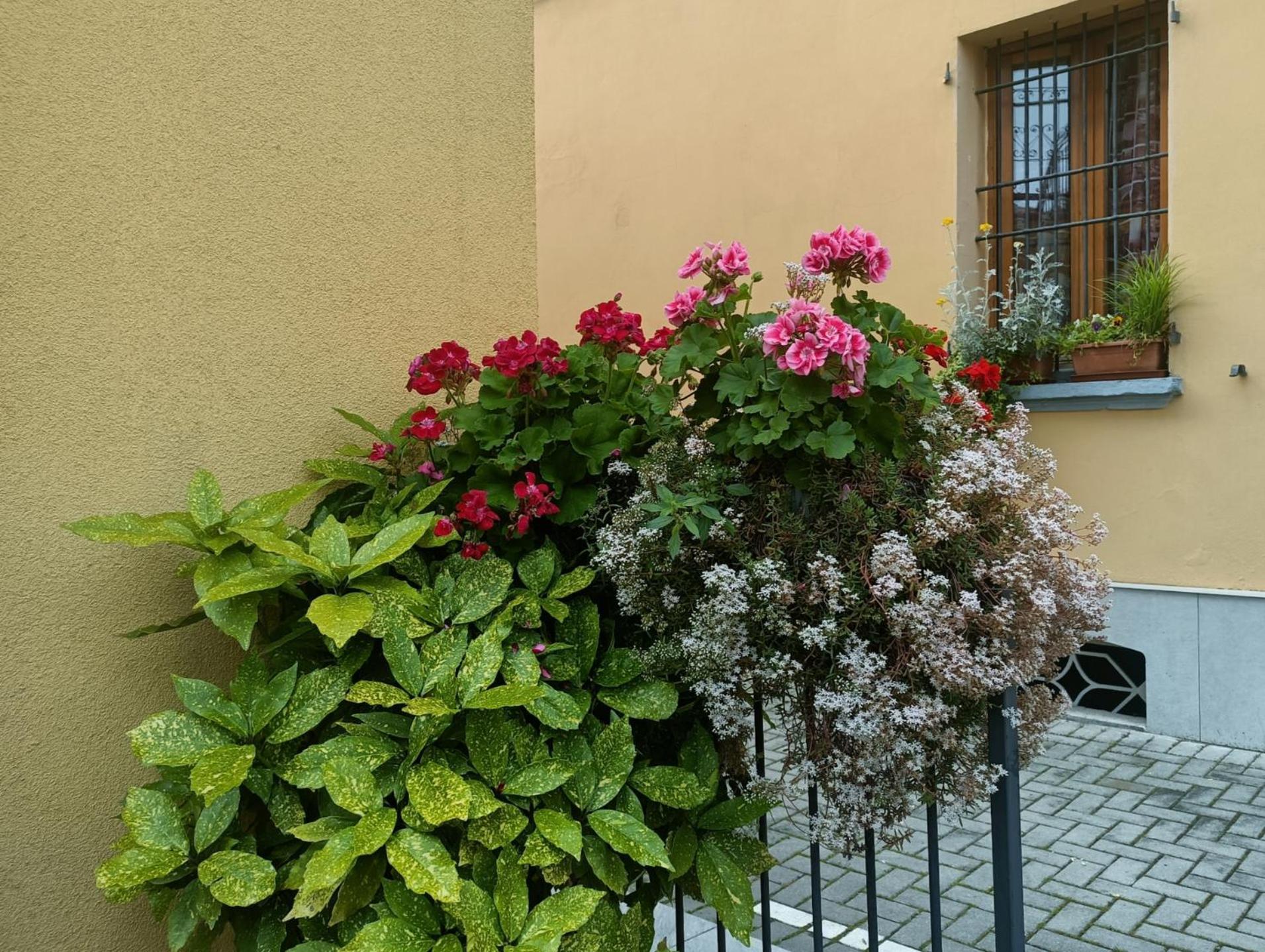 Appartamenti Borghetto San Donato 105 — Foto 1